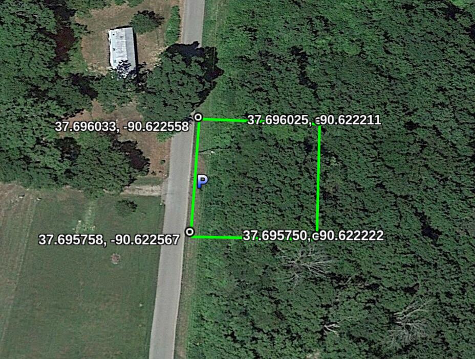 Vacant Wooded Lot near Fishing Lake